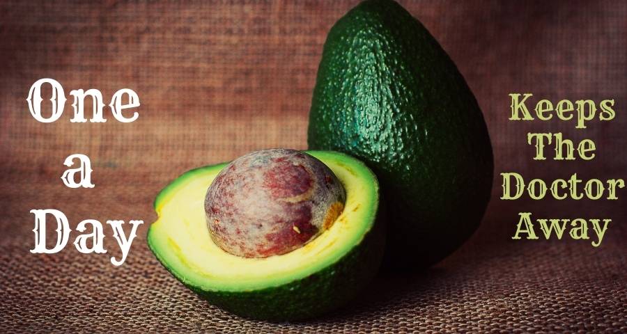 One a day avocado for excellent health benefits